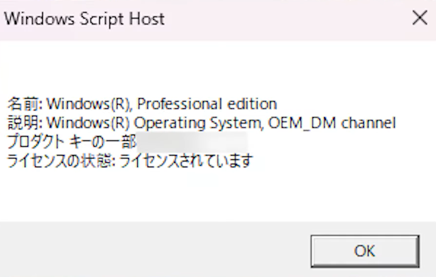GMKtec NucBox G10 OS